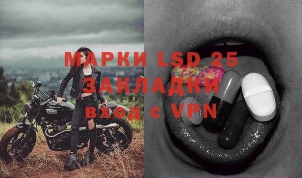 индика Пересвет
