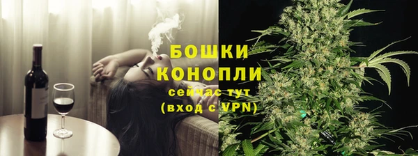 индика Пересвет
